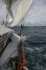 gal/2009-09-19 Lorne Nelson Sailing/_thb_IMGP8538.jpg